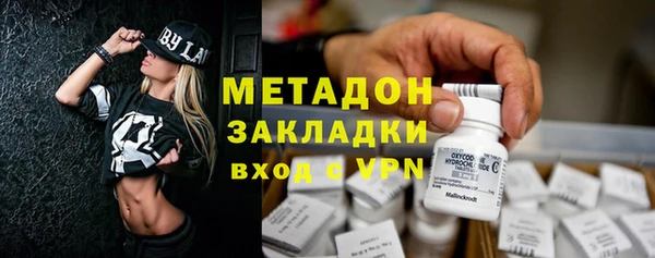 гашик Алексин