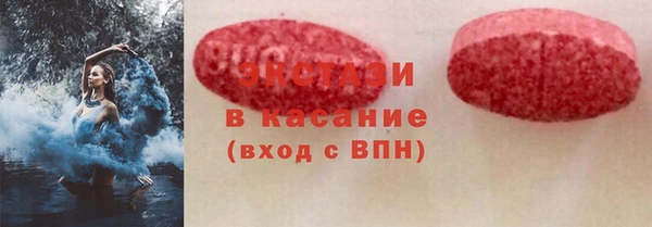 гашик Алексин
