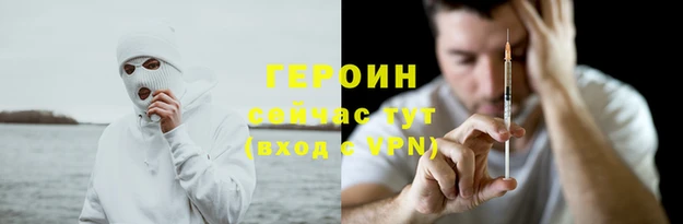 гашик Алексин