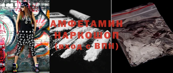 гашик Алексин