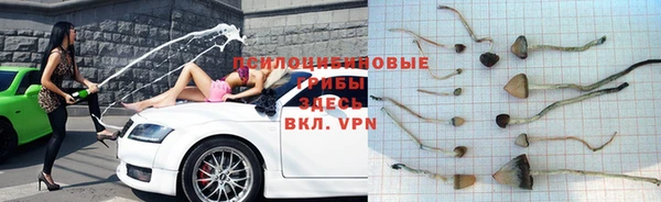спиды Алзамай