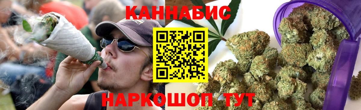 Конопля планчик Волхов